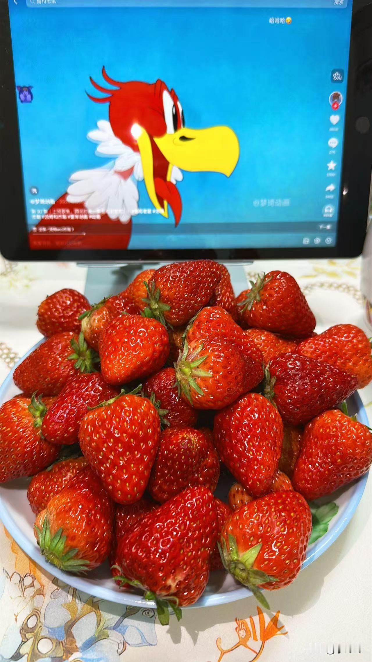 昨天听我妈说，我三姨家的儿子已经没有工作快，有一年的时间了，天天在家躺着打游戏