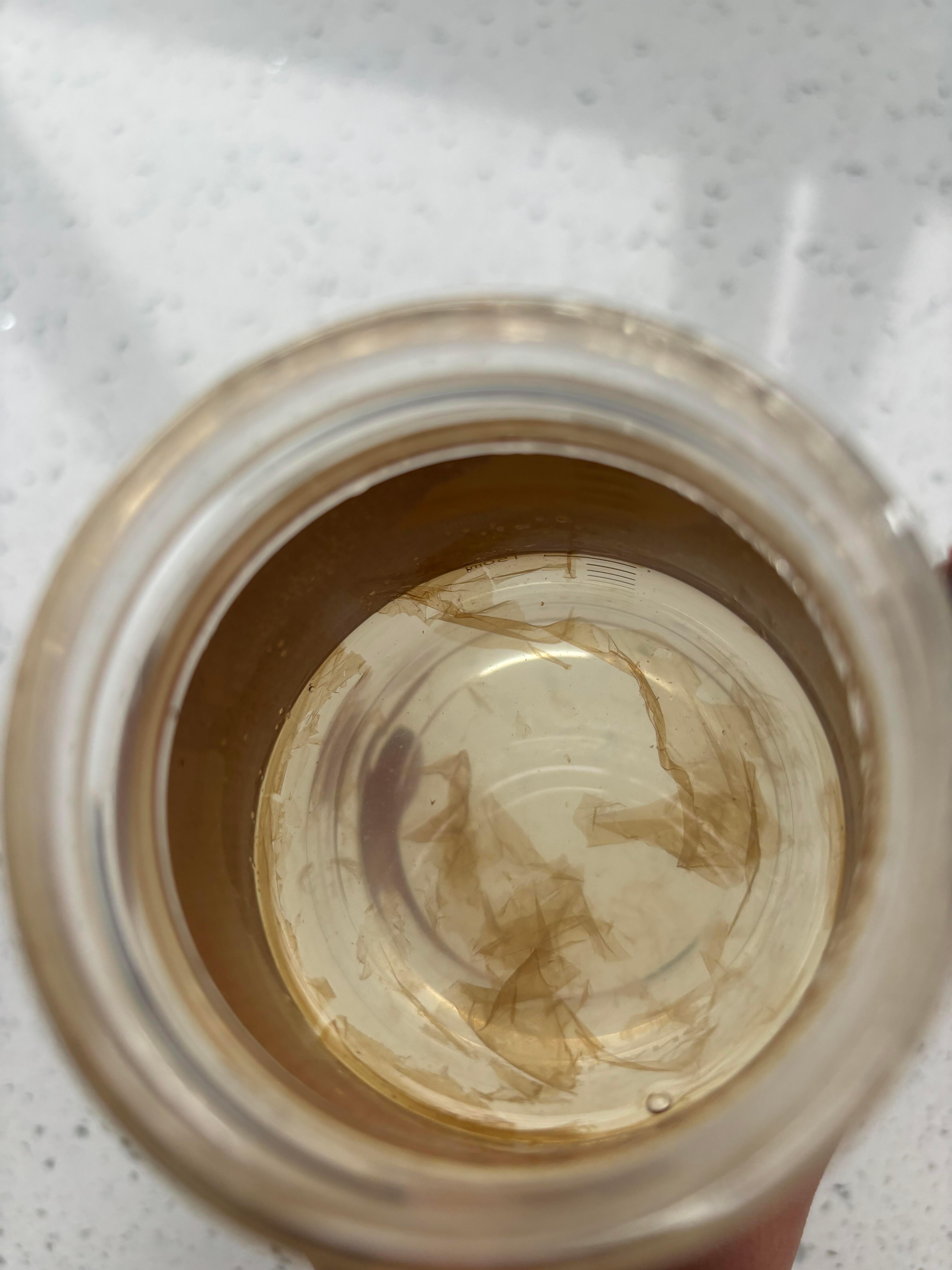 独居小妙招：柠檬的神奇清洁力独居租房的小伙伴，你们有没有为饮水问题烦恼过？我发