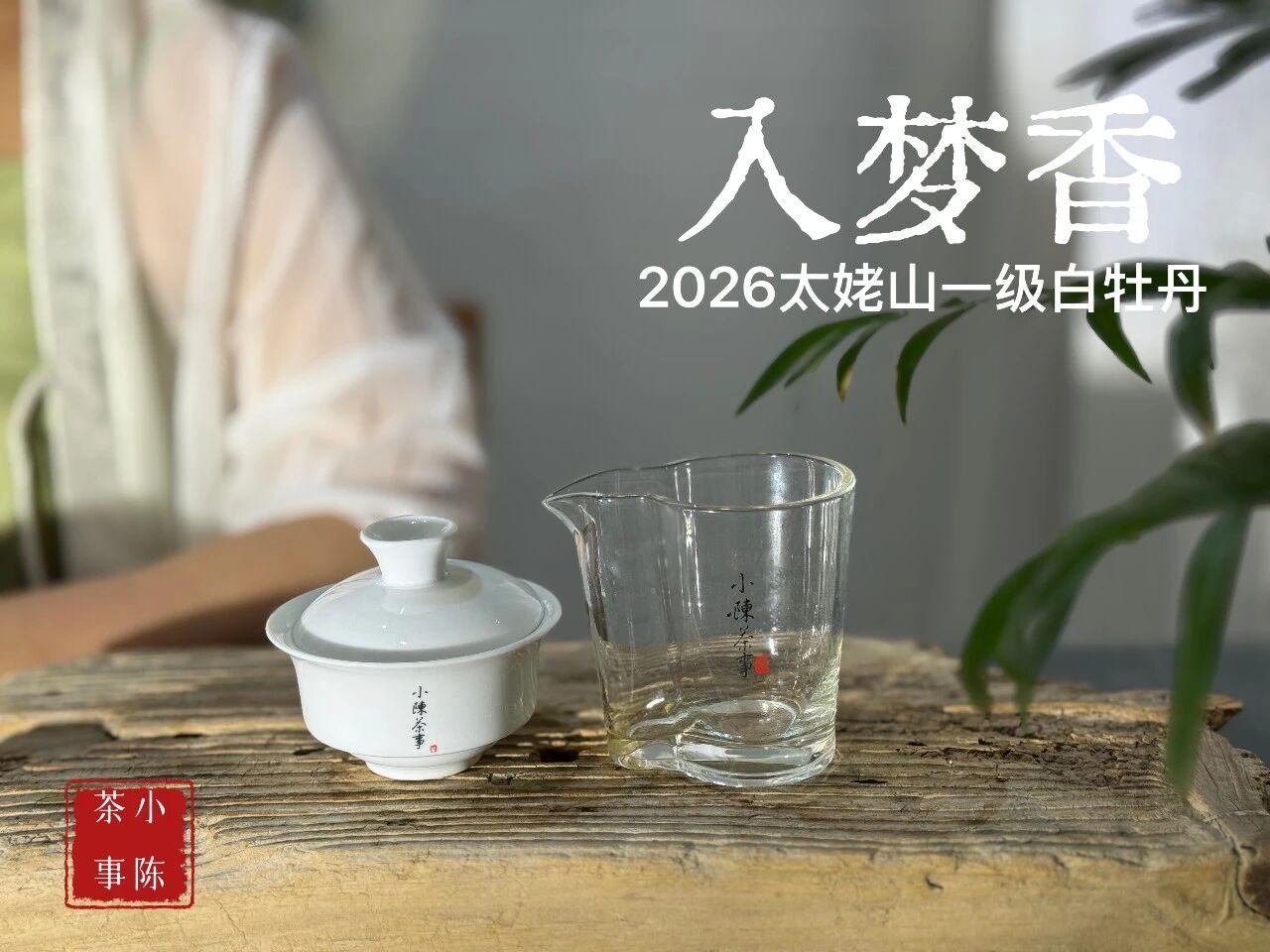 4大存茶致命误区，存错毁掉整箱茶叶！盘点家庭常见存茶误区，看看你踩坑了吗？◆