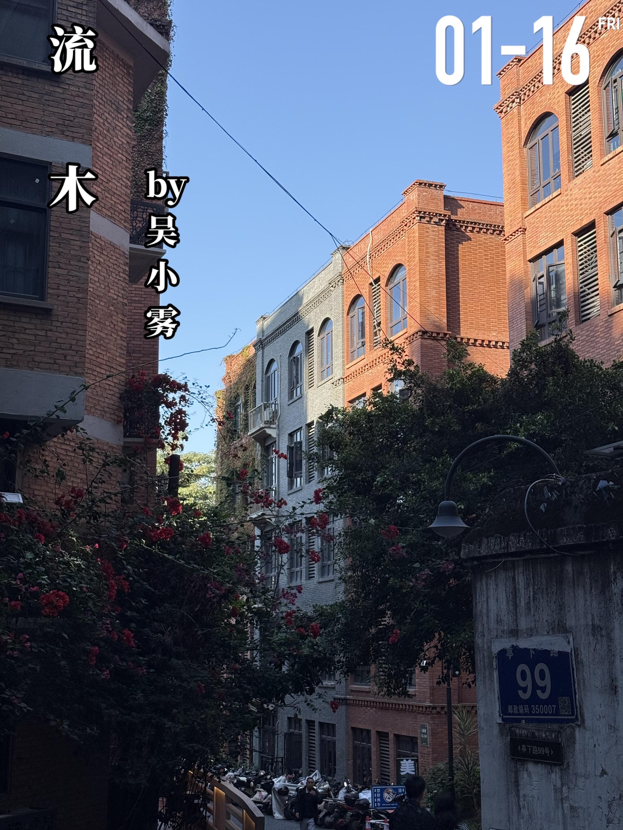 《流木》by吴小雾。伍月笙（女主）自小跟着妈妈长大，她不知道父亲是谁...