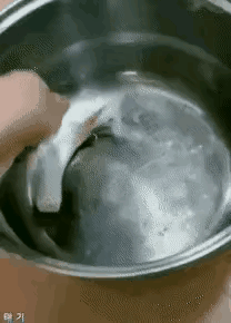 看到了吧，这主人比狗子还狗呢