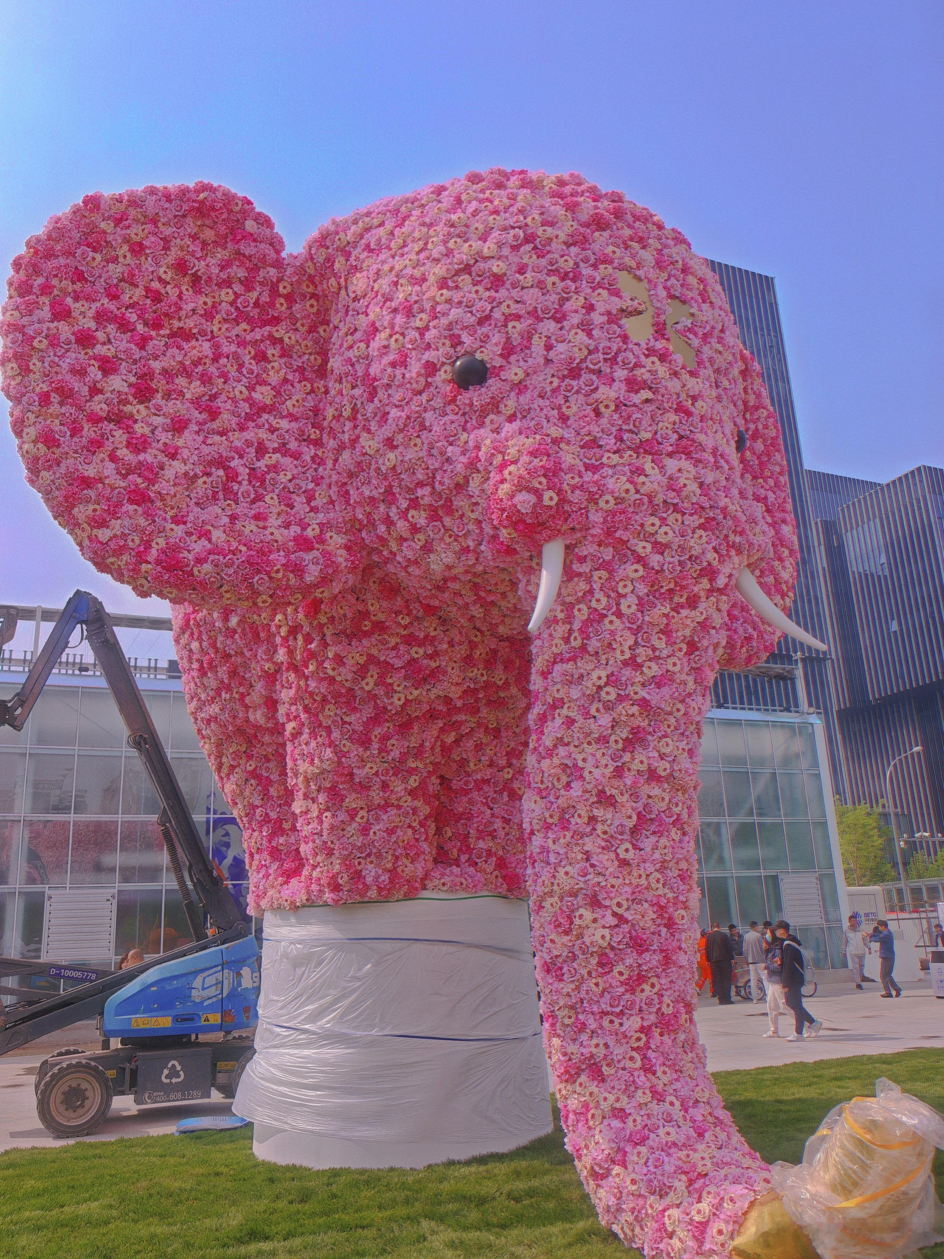 花展最全打卡指南来了2026北京国际花展2026北京国际花展，各种花特别多，还建