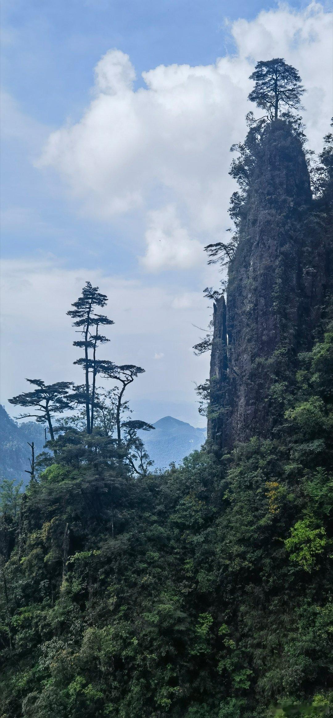 随手拍天下莽山，人间仙境。郴州·五指峰景区-索道上站