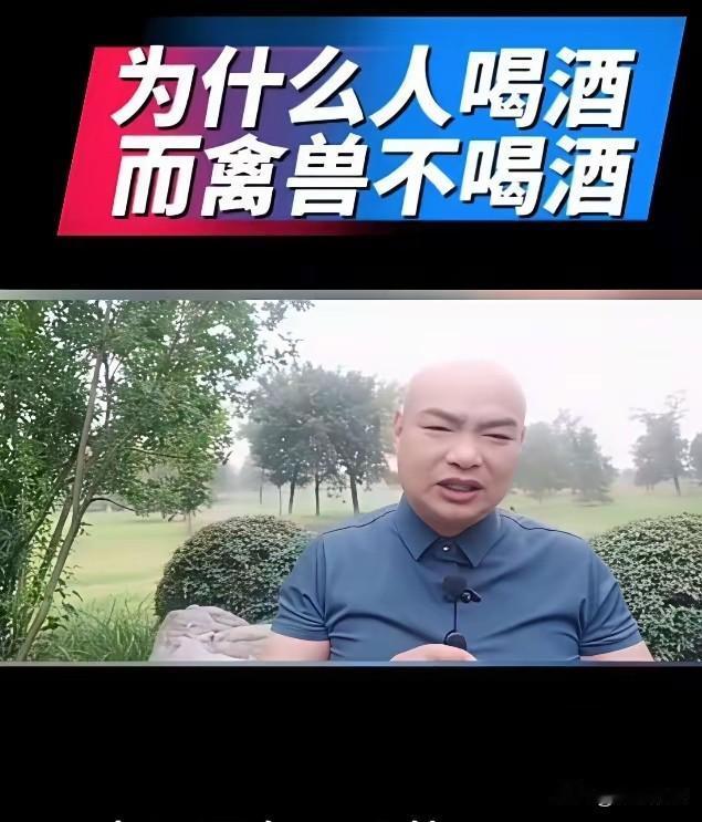只要开始吃降压药、降糖药，或者有肝病的男人，酒桌上就别再逞能了，再喝下去不是交情