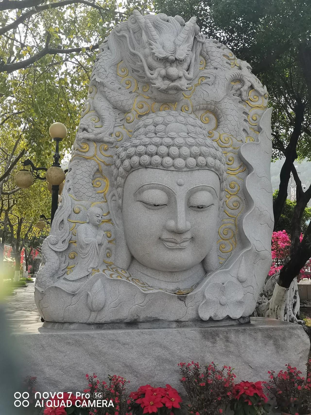 天选之人，各有不同！能从低谷逆境中熬过来，走出来，还能阳光正念走正道的，心智非