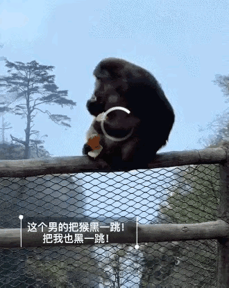 一时恶作剧毁掉自己前途！峨眉山推猴男子正脸曝光，官方出手后果严重五一假期，