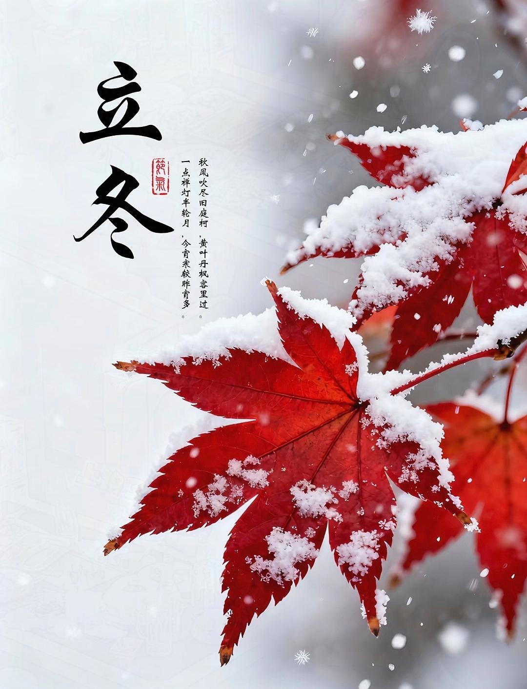 还有1天就立冬了，以前不懂，老话说得好“上午立冬冻死牛，下午立冬暖烘烘