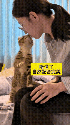 每次听见有人说猫咪身上脏、不能近身，我都特别不认同！谁的自律清洁能比得过猫