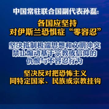摊牌了！中国常驻联合国副代表当众放话：零容忍！3月17日媒体报道，中方代表在联大