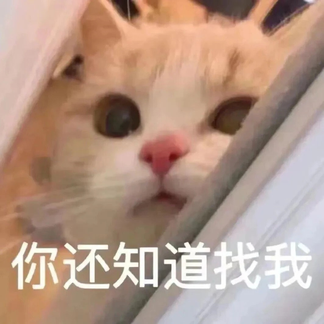 猫咪表情包：你有什么猫病嘛