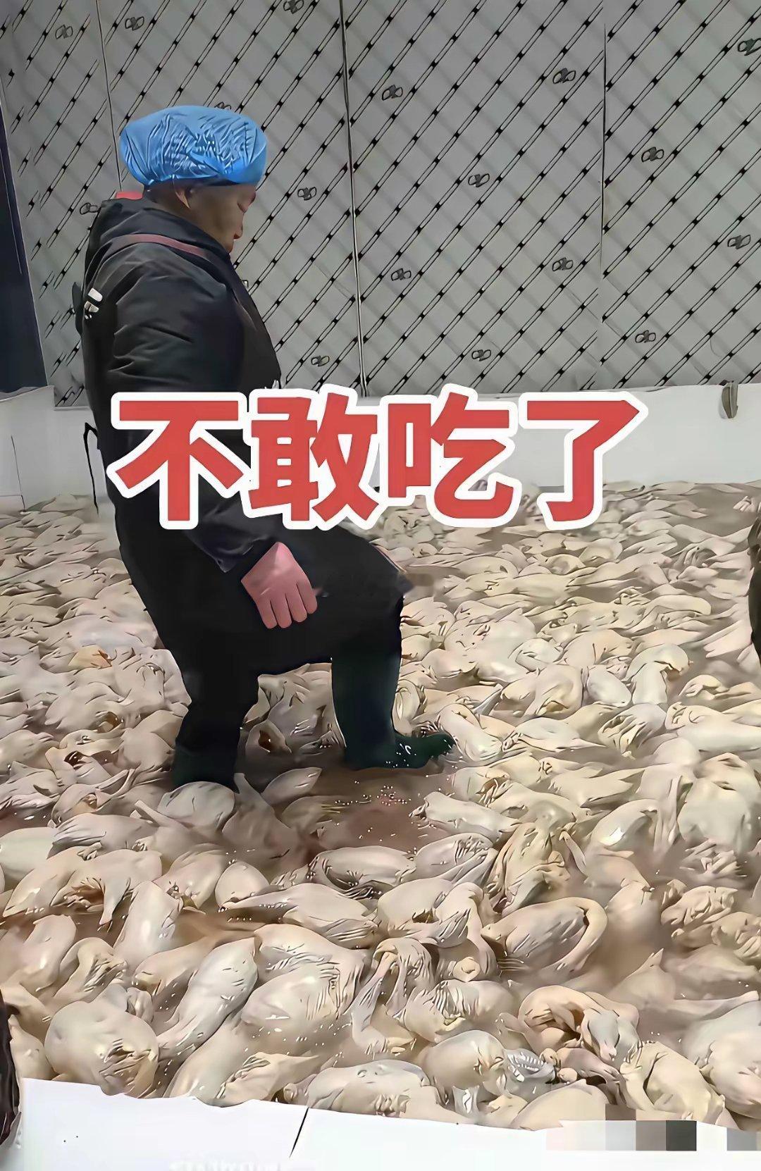 惊呆了，给孩子看看还敢吃吗？