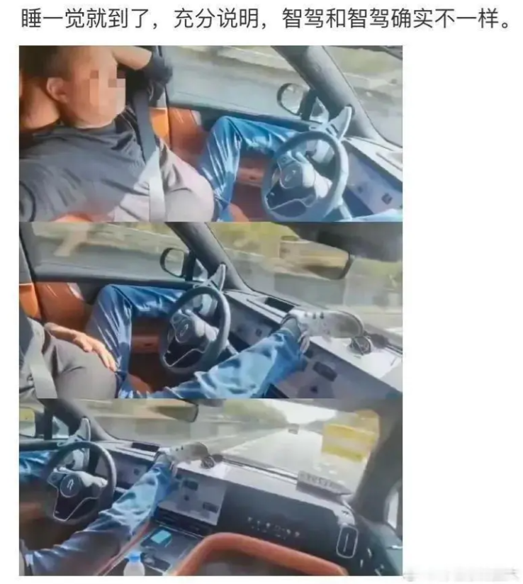 这姿势，难道是要生了吗