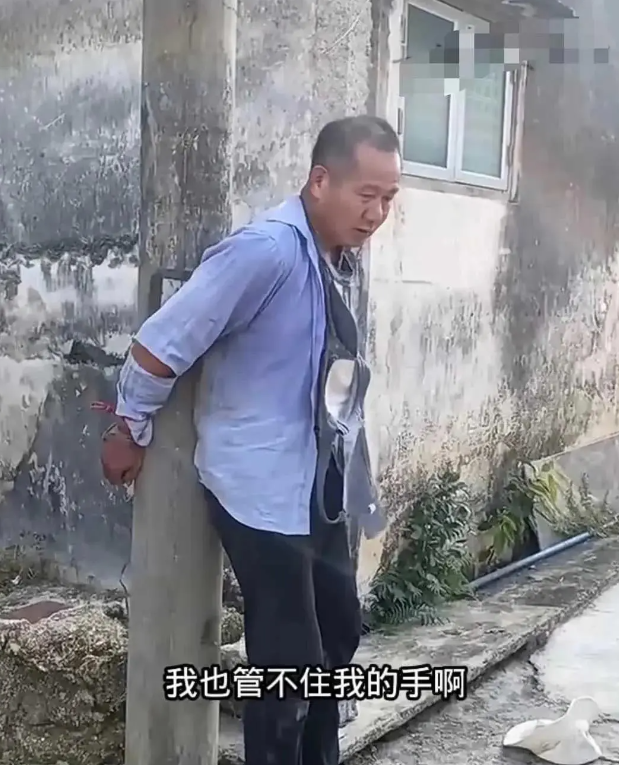 别人家的就是香哈。。。。。