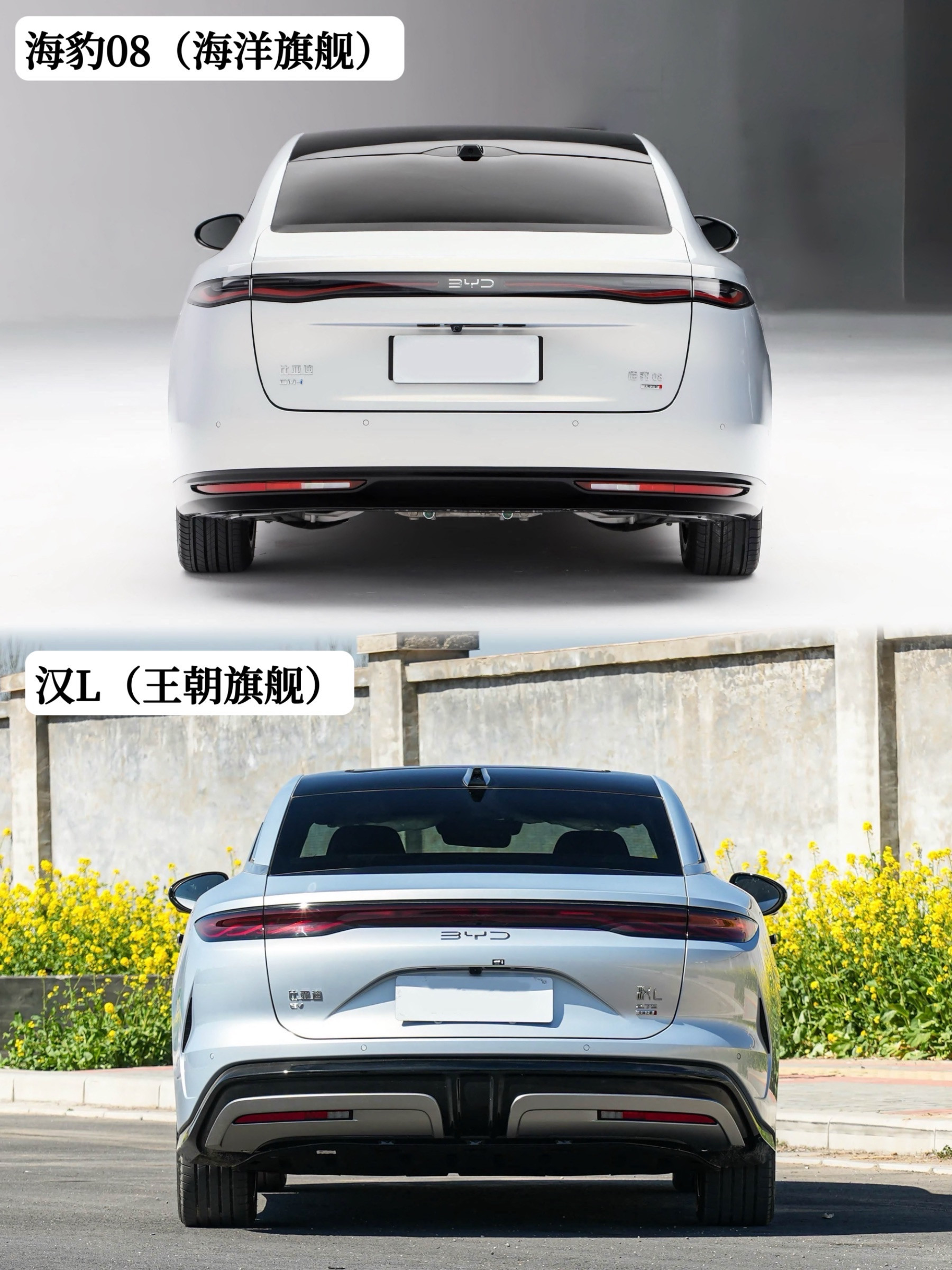 比亚迪海豹08正式亮相，相比王朝网的汉L会成为新的爆款吗？