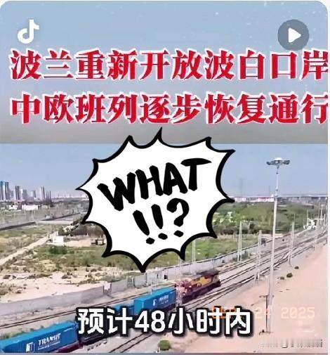 不出所料，波兰还是急了！9月22日，中国宣布“中欧北极快航”开通。9月23日
