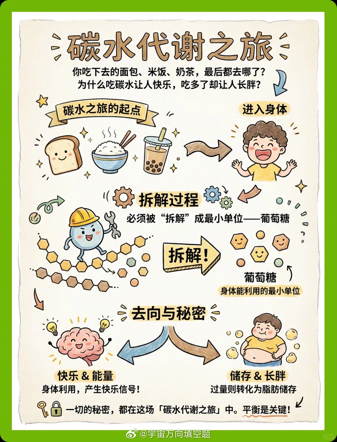 减脂不要恐惧碳水，一张图搞懂：吃的碳水，是怎么变成肥肉的？为什么有人吃主食就胖，