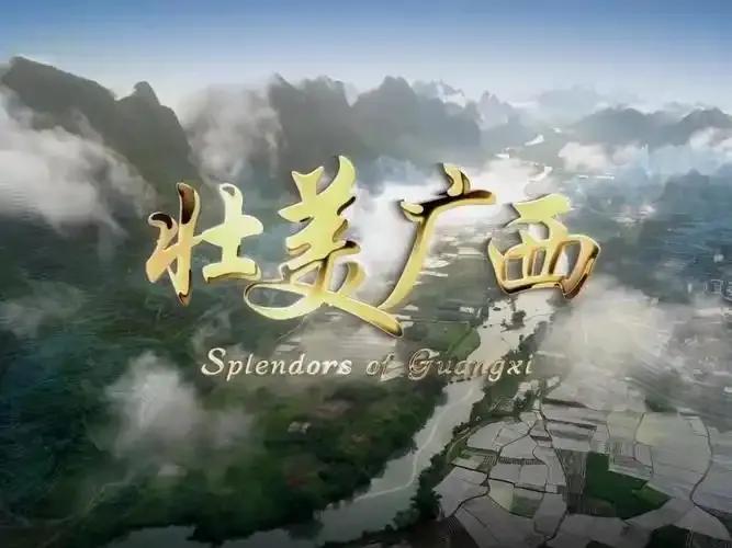 昨天就听说广西的蓝天要变了！今天果然应验蓝主席栽了！无风不起浪，作为一位广西土生