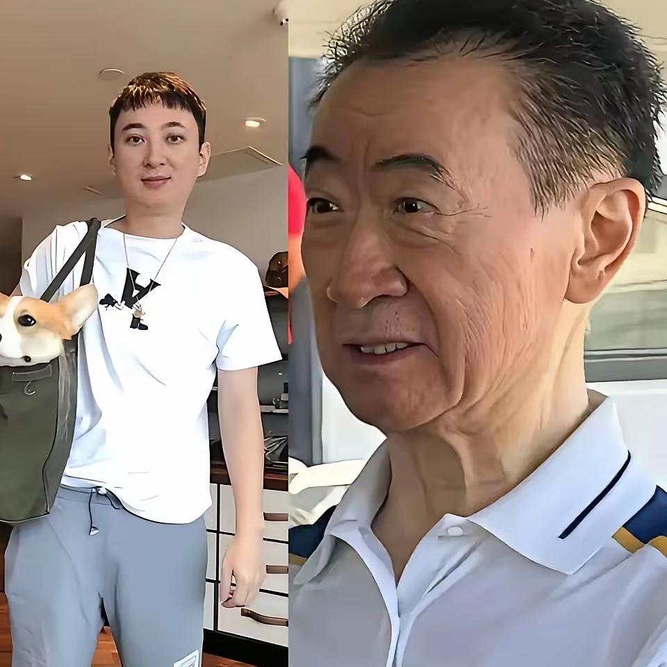 王健林一辈子最大的成功不是创办了万达而是培养了王思聪这么优秀的孩子首富时