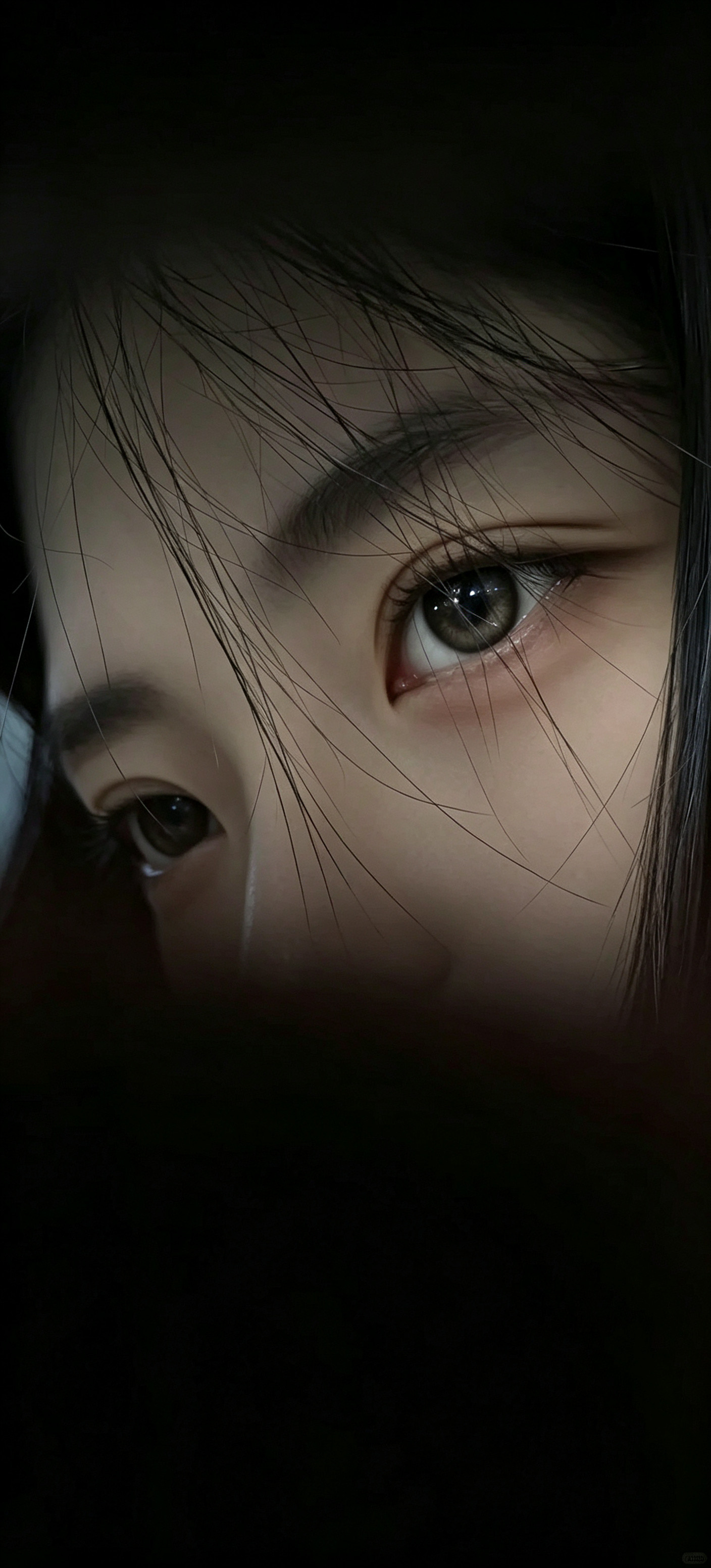 壁纸-【晚间精选】-