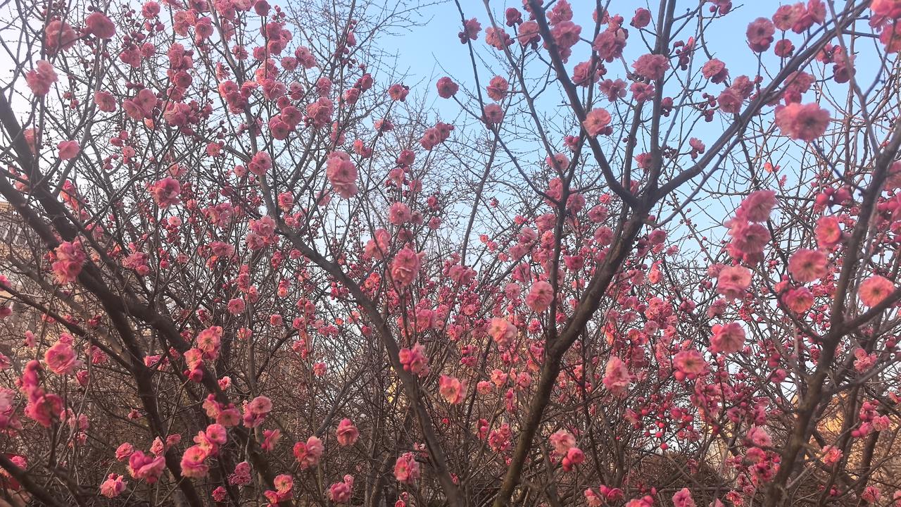 邻居老王临死前告诉儿子，如果有一天你没钱花了，你就随便找一个高档的小区，贴