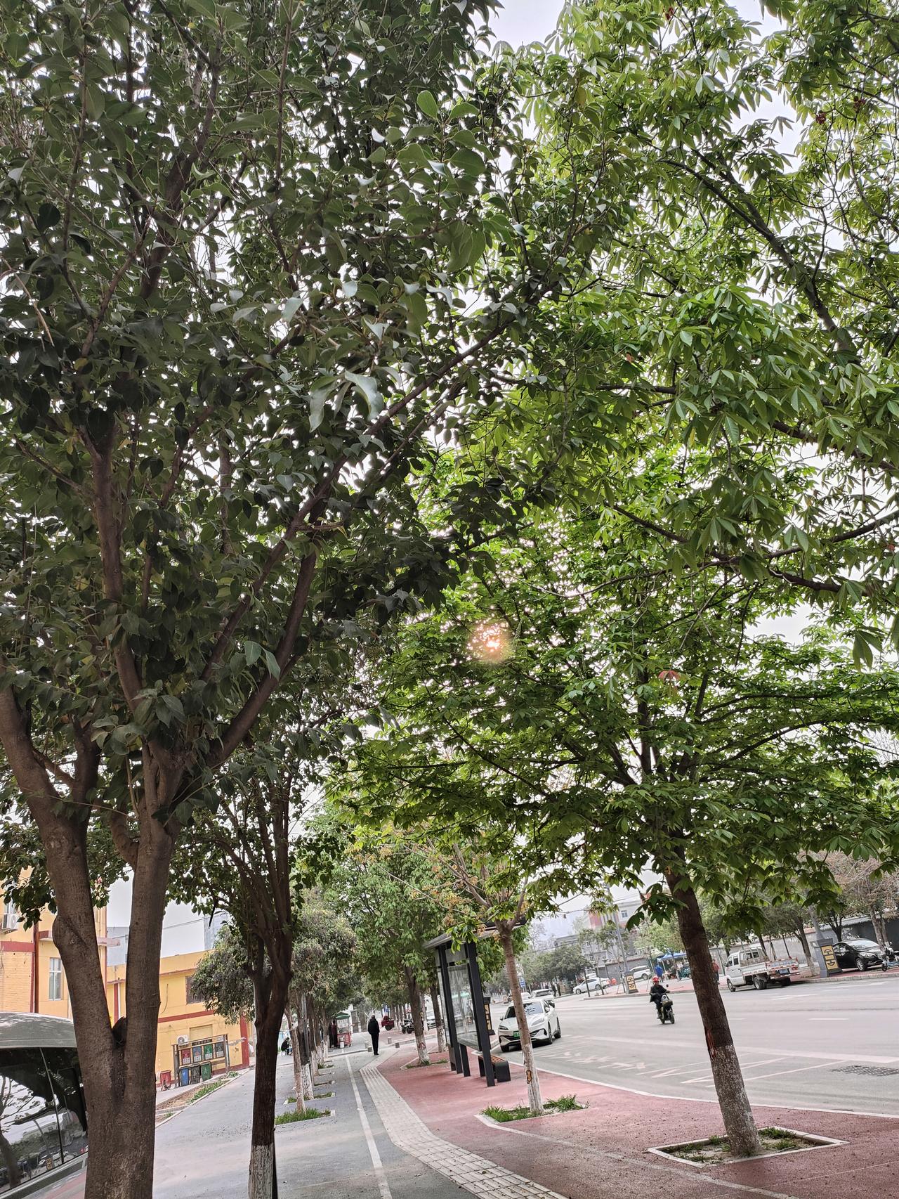 生活没有如果，只有结果；尽力了，就好人这一辈子，走着走着就明白一个理：生活