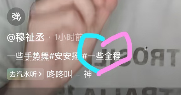 您说什么……？