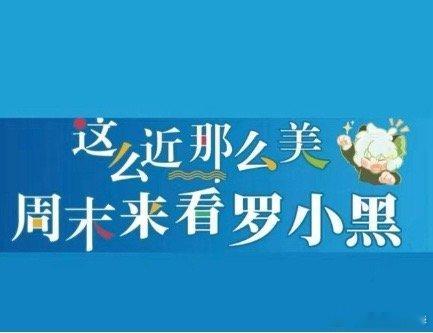 罗小黑战记2豆瓣8.6分2025年度必看动画无疑是《罗小黑战记2》！豆瓣开分8