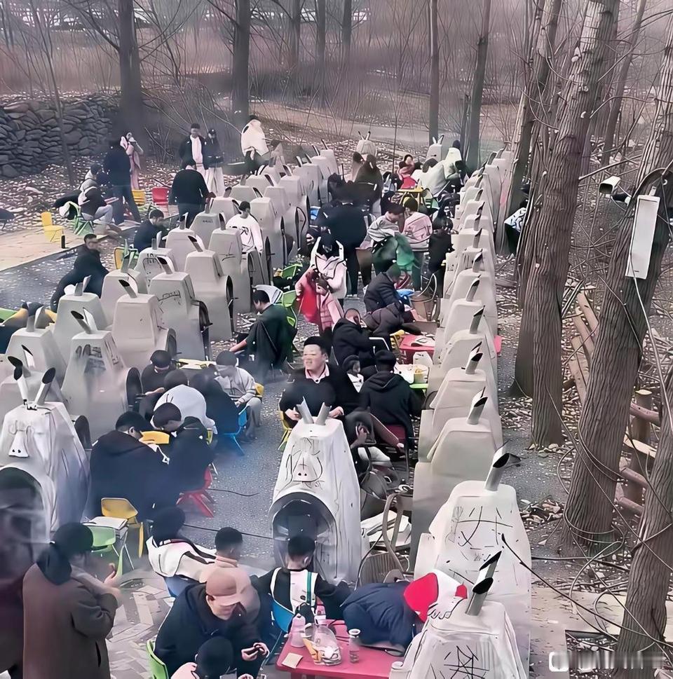 天啊，我差点以为是去上坟呢，现在城里人都流行这样了嘛这样的烧烤烤出来能好吃嘛，我