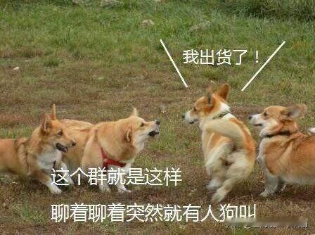 一句话改变群画风