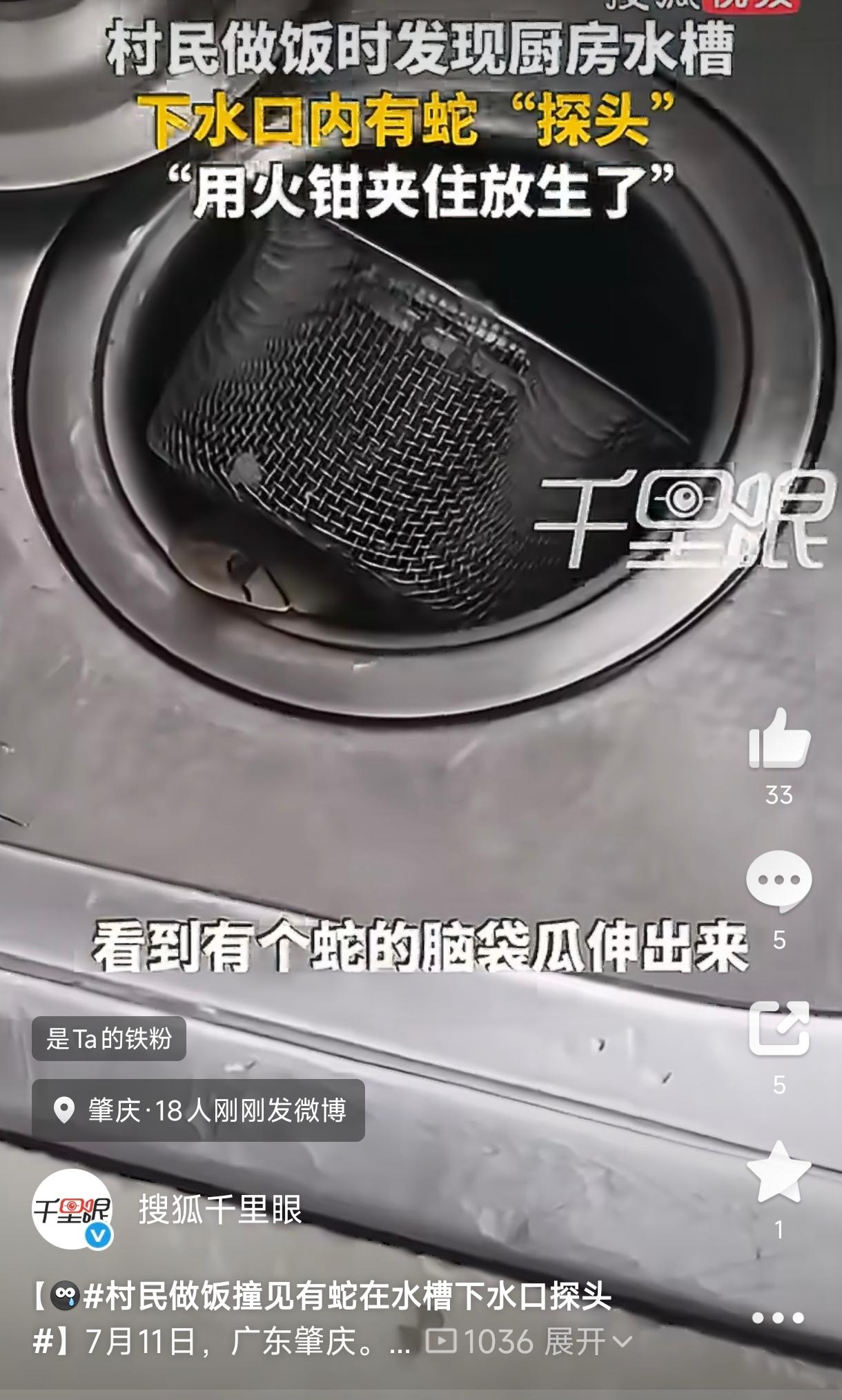 太吓人了！广东肇庆，一位男子母亲进厨房准备做饭，低头清理水槽时，眼前一幕让她倒吸