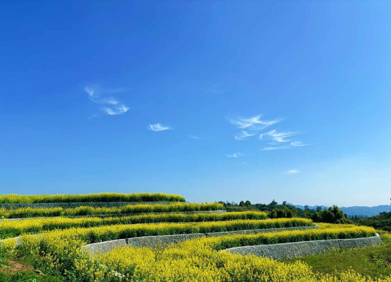 重庆•科学谷·寨山坪水库难度系数：🌟都是水泥道路导航寨山坪水库：开车到栏道