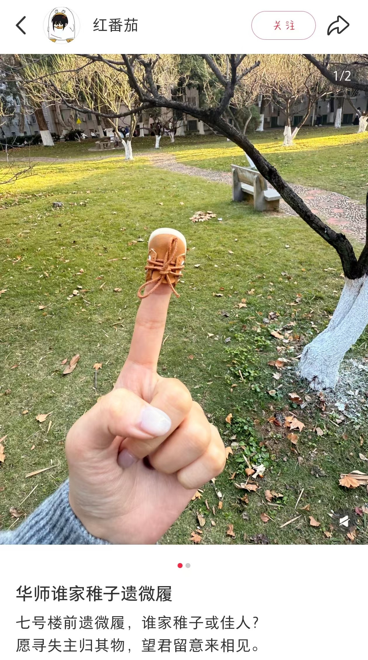 此稚子乃灰之姑娘也