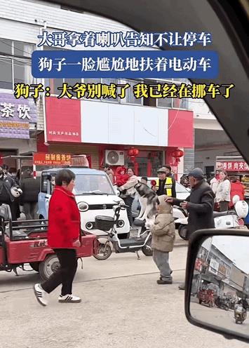 好狗不挡道具象化！安徽，主人带狗狗上街买东西，主人自己去店里买东西留狗狗独自在电
