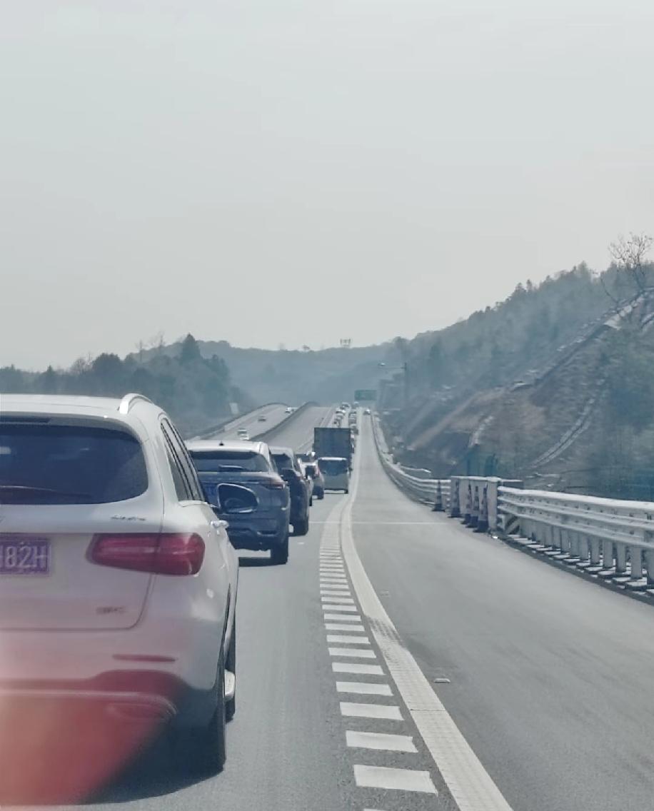 初四从湖南返深，刚上高速就被堵得纹丝不动，导航一片飘红，心态瞬间崩了！原以为错峰