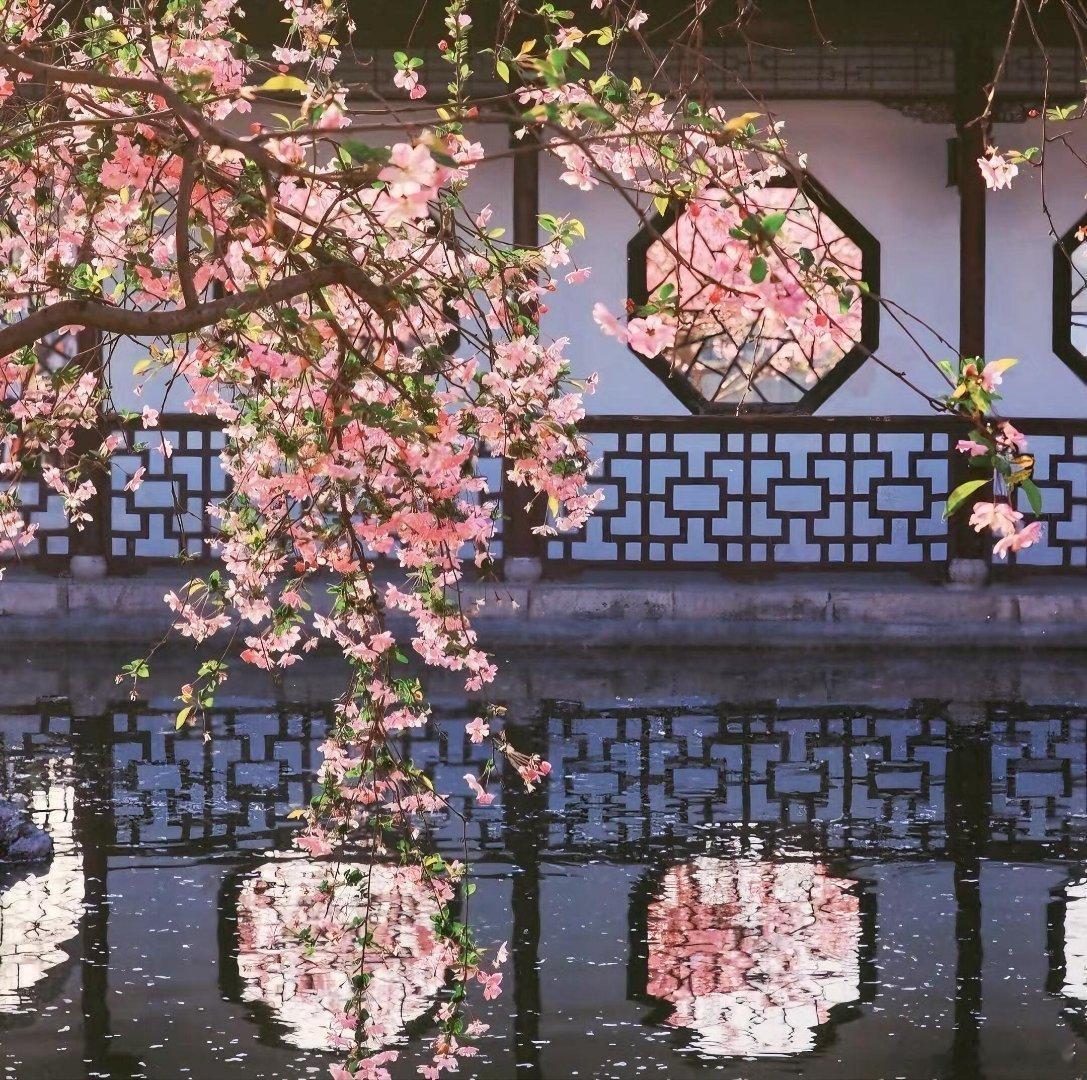 窗前花影，城堡夕照，湖畔小屋，每一处风景都是一幅画✨🌍世界那么大，总有一处让你