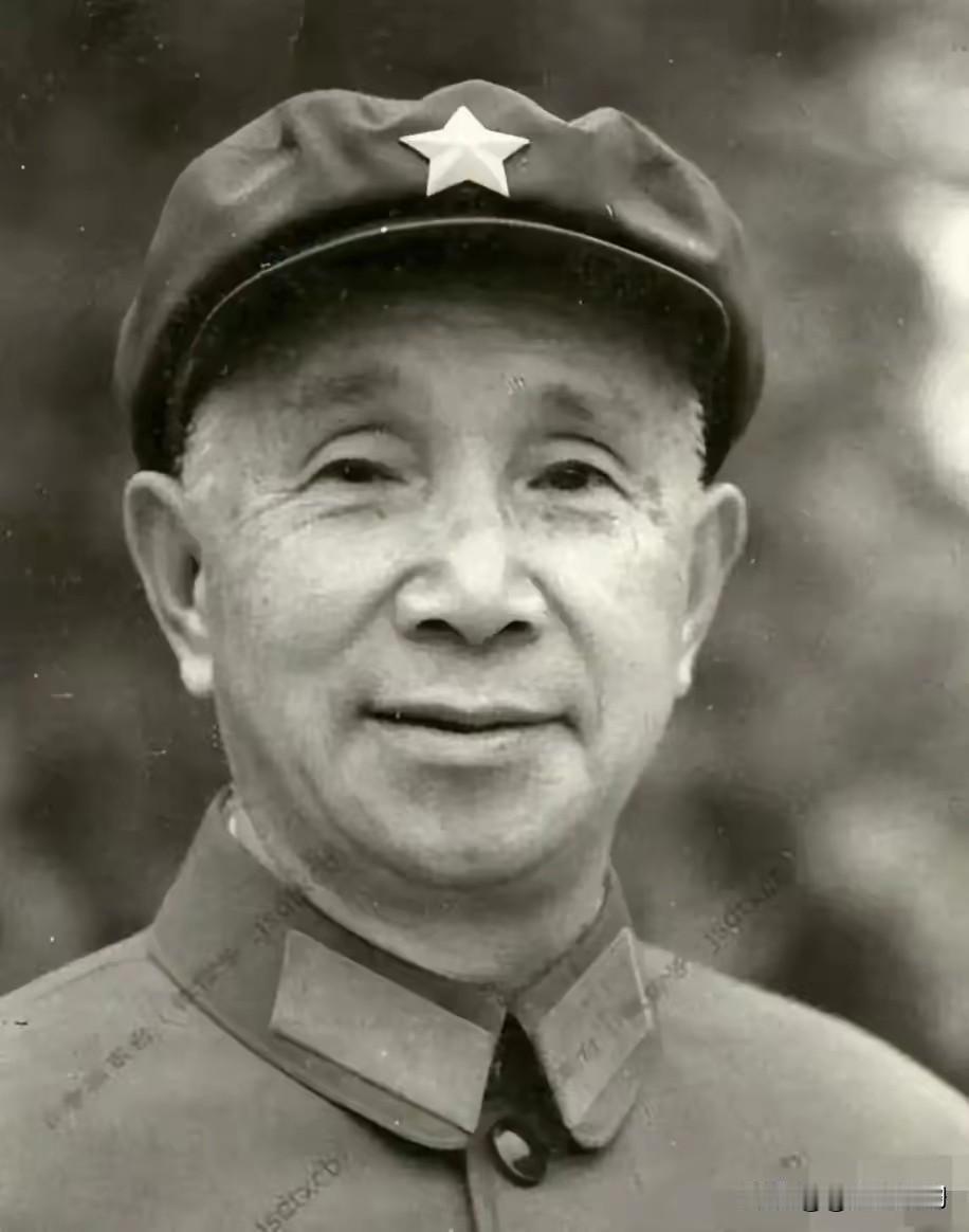 1981年，74岁的粟裕大将，向中央请求“我想回家乡看看”。经过一番讨论，中央拒