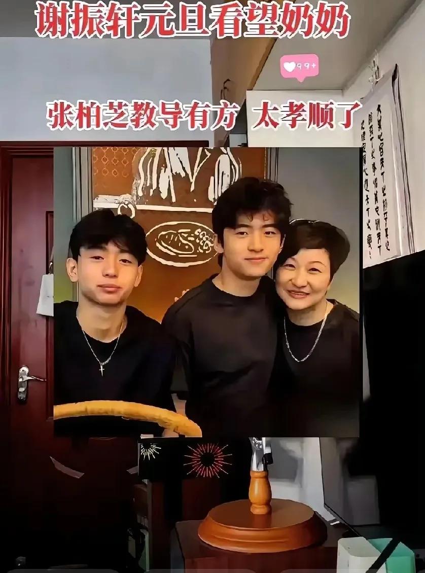 离异家庭育儿天花板，张柏芝做到了！元旦，谢振轩没去疯玩，而是乖乖陪