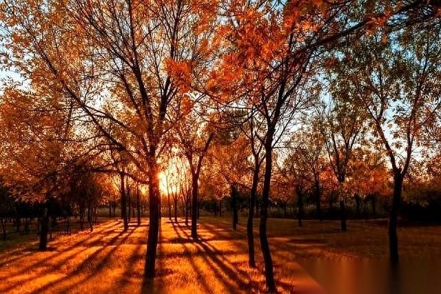 我发现，很多夫妻，一辈子没出轨，没经过大风大浪，最后感情的船，是停在港口里，自己