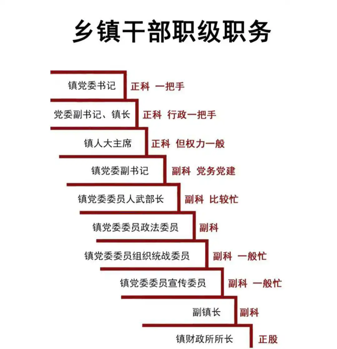 没想到一个镇就那么多干部，我国干部数量真多啊…
