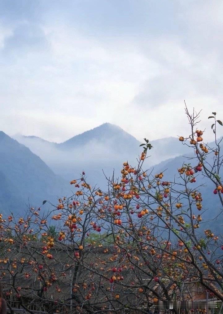 没家底的中年人是职场最卷的了。你让他们不加班，他们都要玩命加班。中午和同学吃