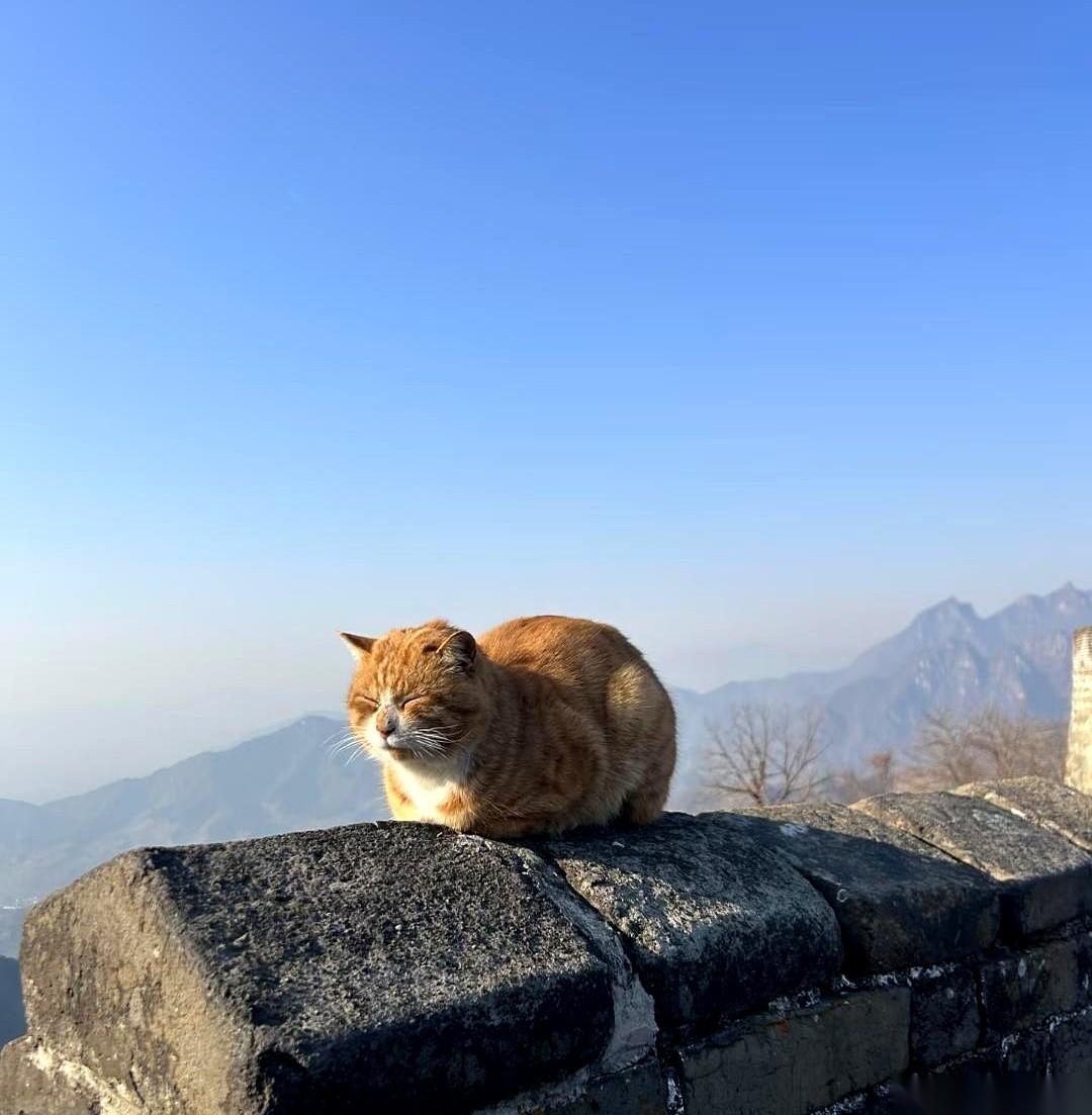 哪有什么从朋友到恋人。说白了，全是心照不宣的试探。你以为走路不小心碰到的胳膊