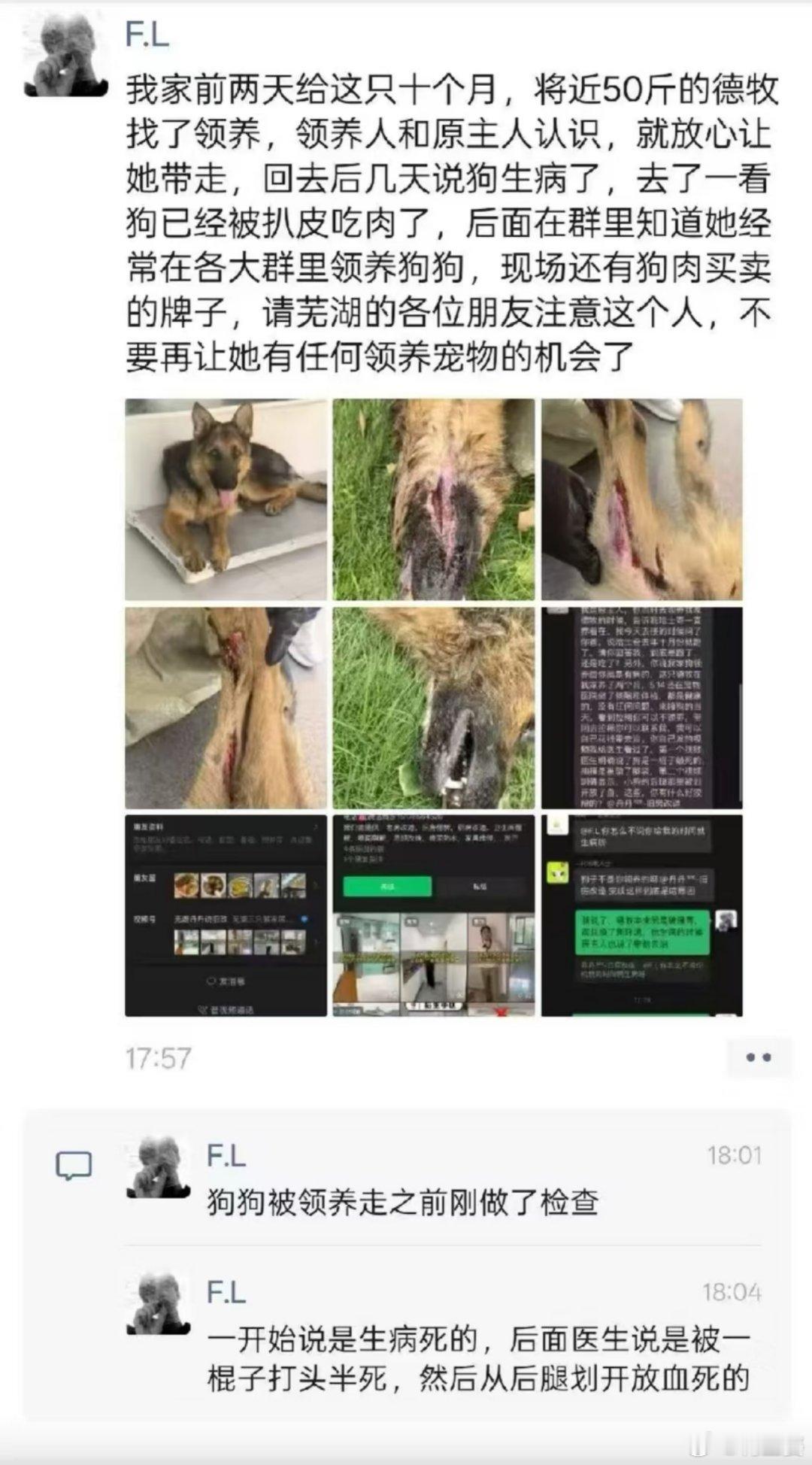 -“原主人赶到的时候已经在扒皮了”天呐，看到这句话，简直不敢想…