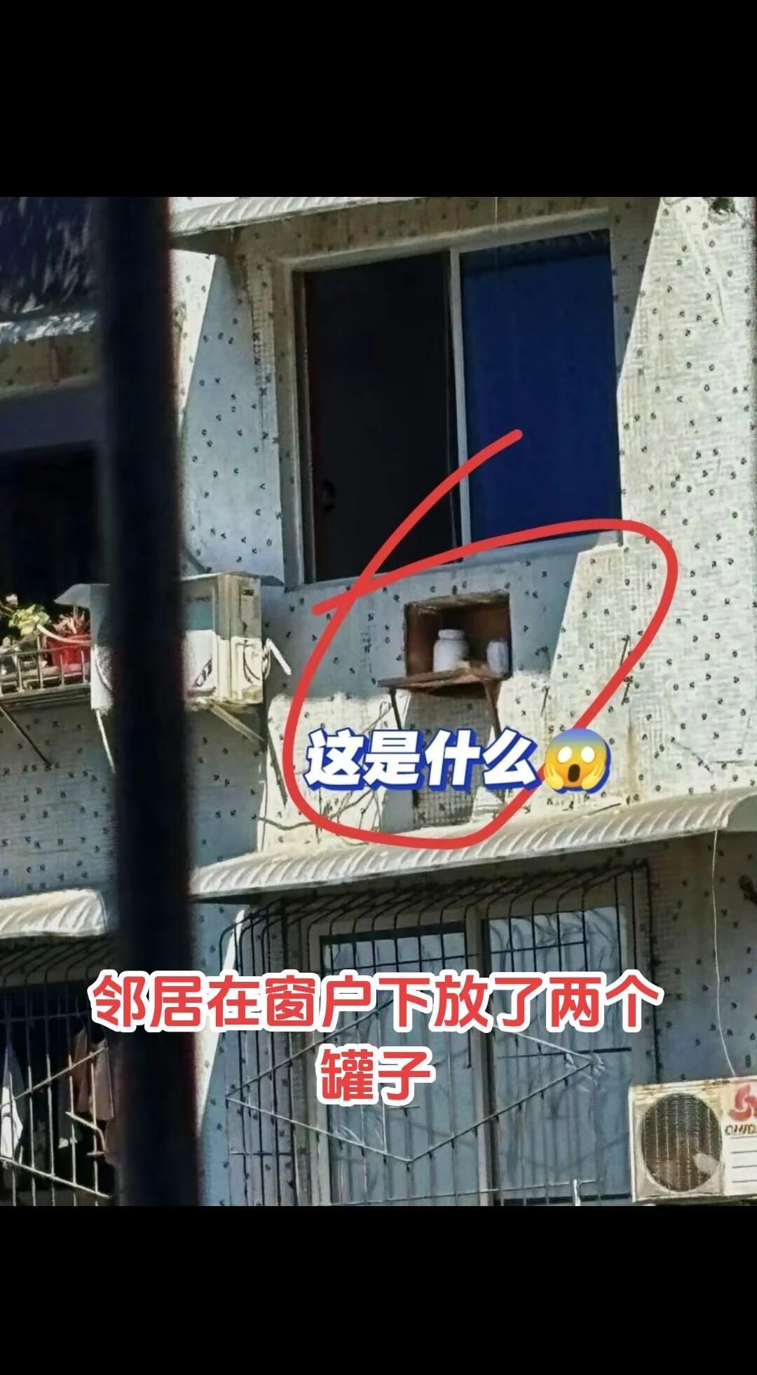 生活中奇葩事件好奇心