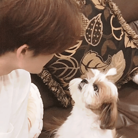 刚刚看完檀小呆檀力球这一期的更新，我终于共情小球了，感觉檀力球有点容易内耗哈！谁