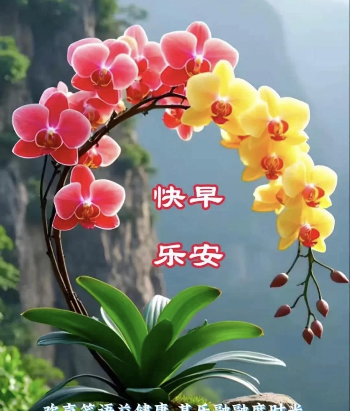 #早安心语分享。#[玫瑰][玫瑰]7/2周三早上好……“Good