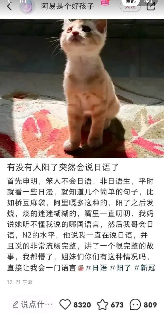 说实话这真的是我