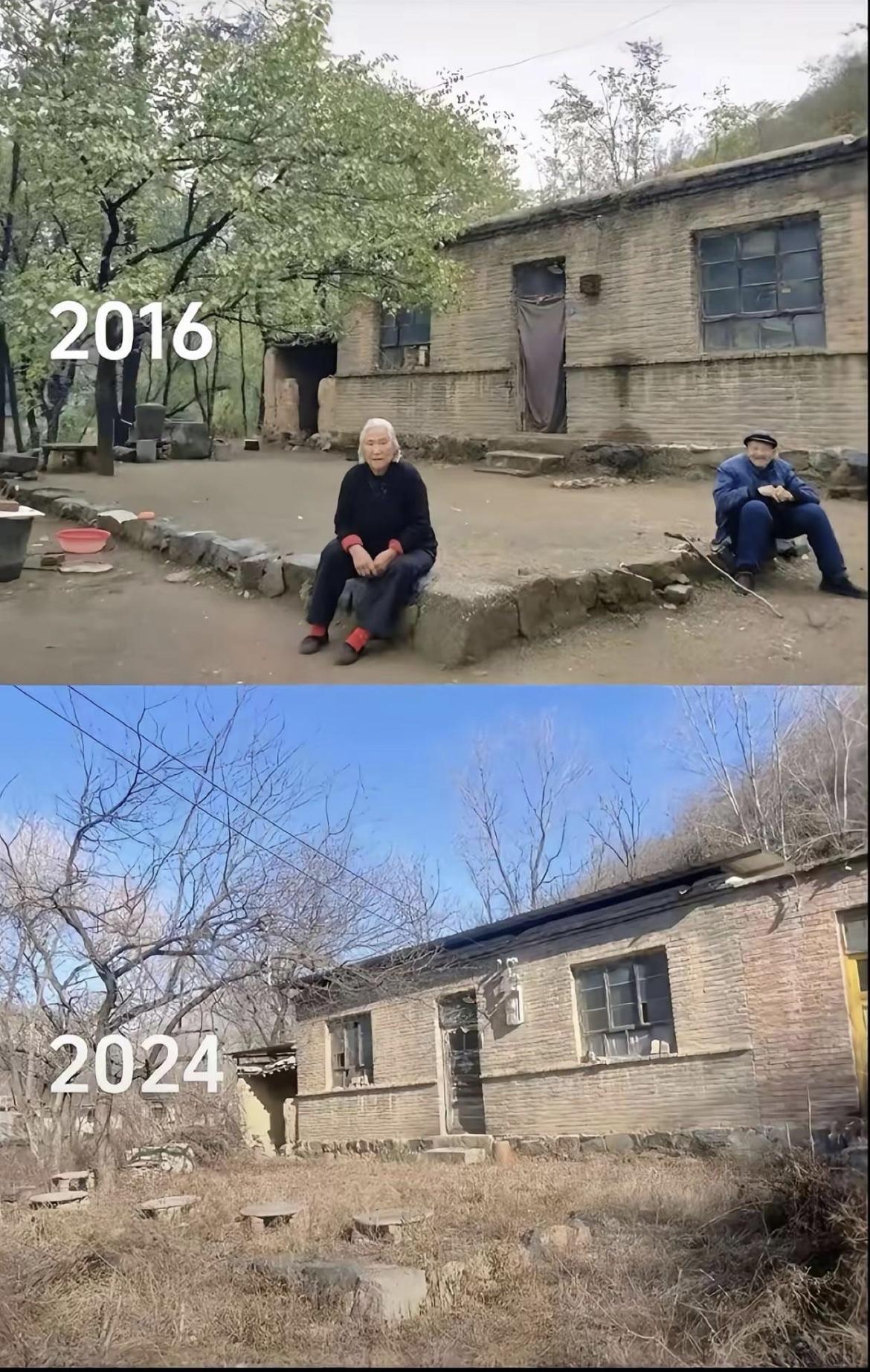 真奇怪，房子一旦没人住了，立马变荒凉了