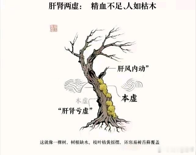 五十过后，守住一身精血！给你一张“肝肾古方”，从头补到脚古人说，“人过五十，天过