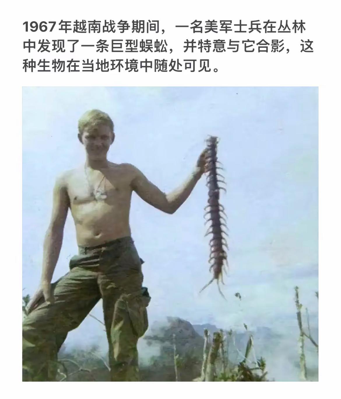 “越南战争中的巨型蜈蚣，士兵与它合影留念”📸🕷️🇻🇳