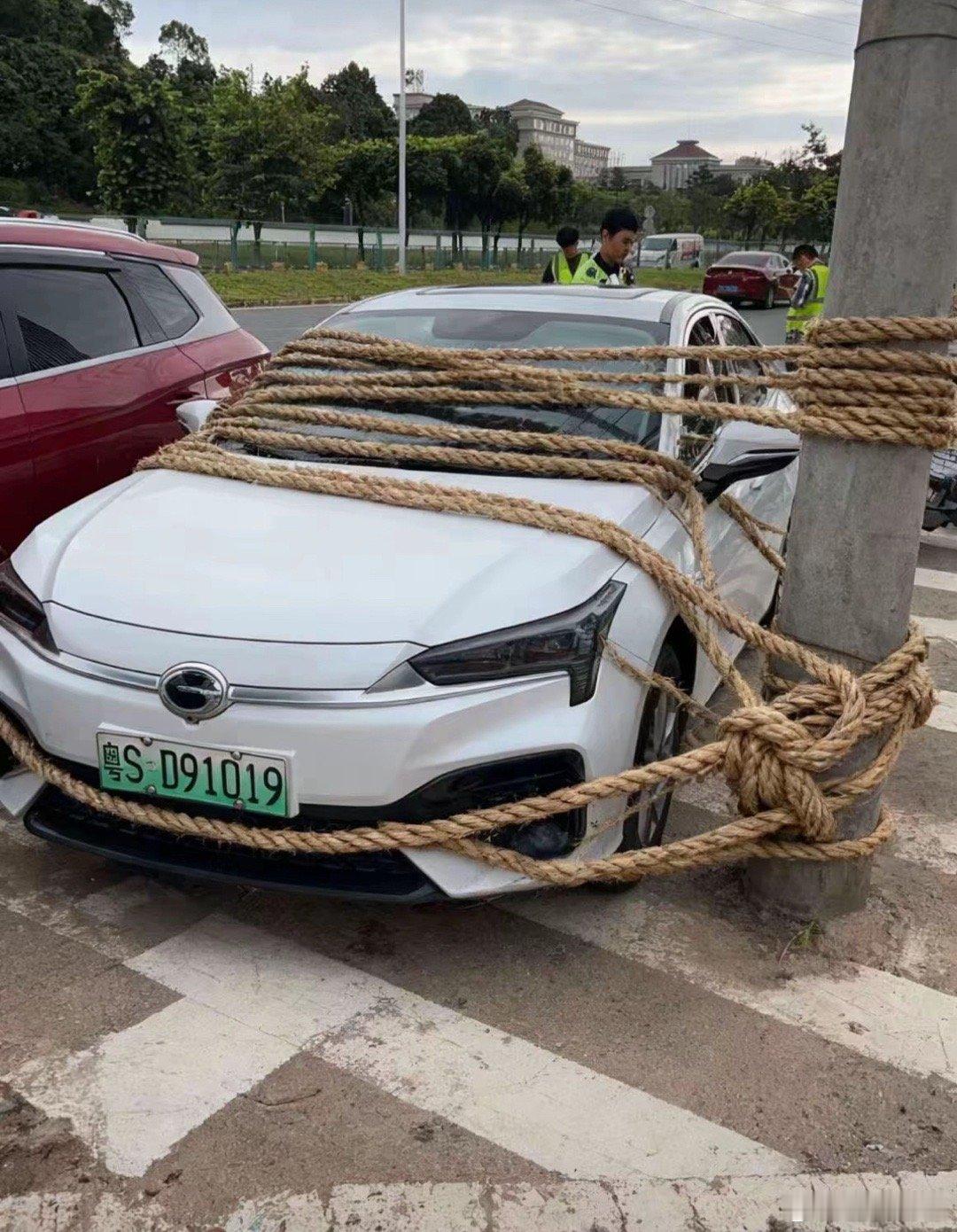 广东人已经开启了防台风模式​​​